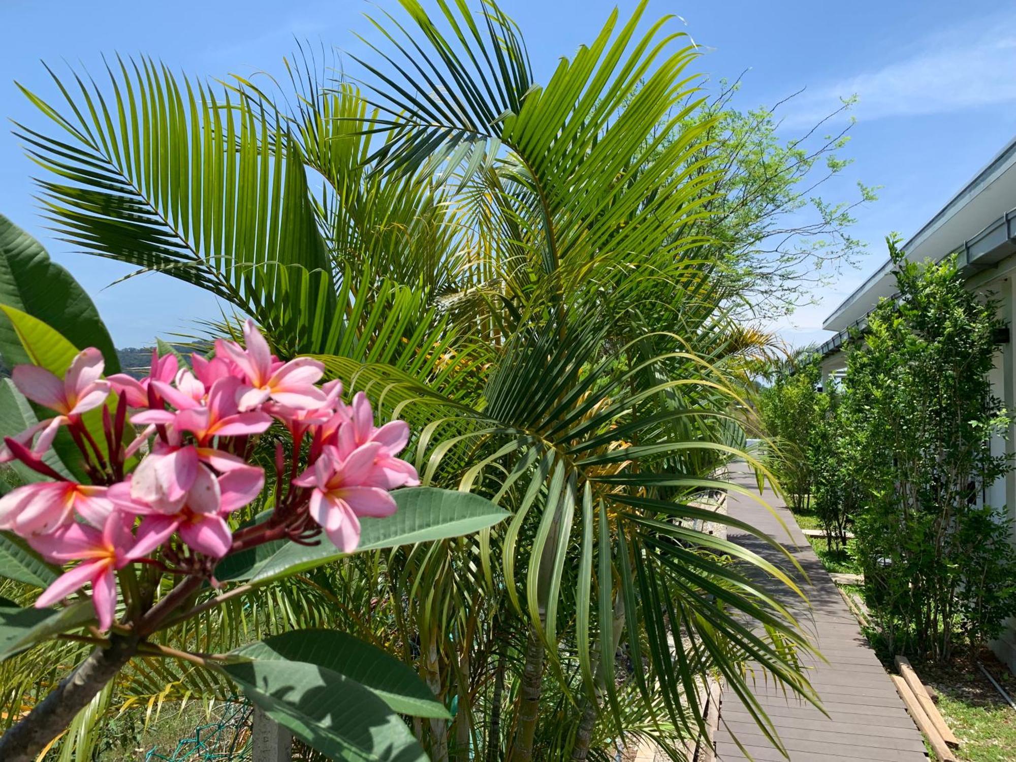 Cloud9 Holiday Cottages Pantai Cenang  Buitenkant foto