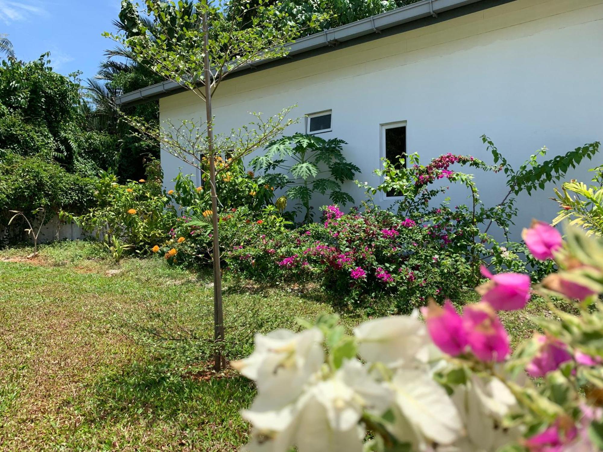 Cloud9 Holiday Cottages Pantai Cenang  Buitenkant foto