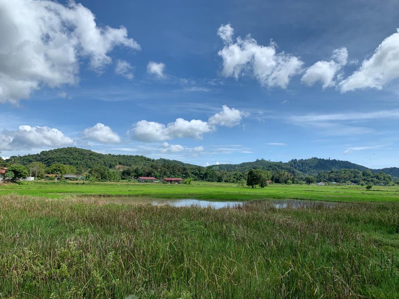 Cloud9 Holiday Cottages Pantai Cenang  Buitenkant foto